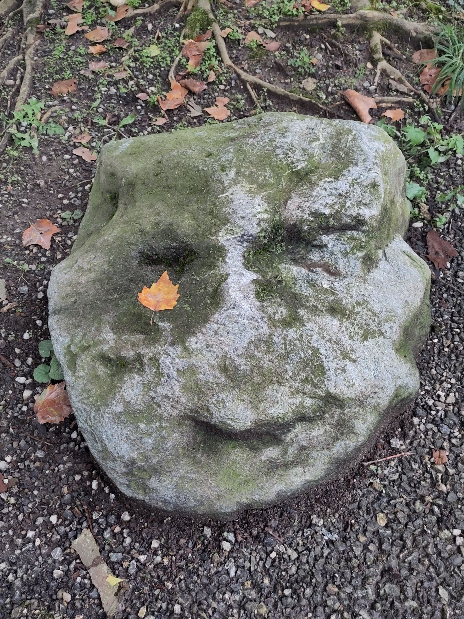 stein
